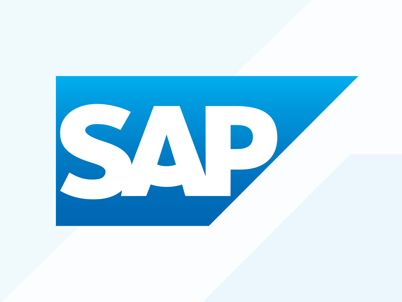 SAP Partner